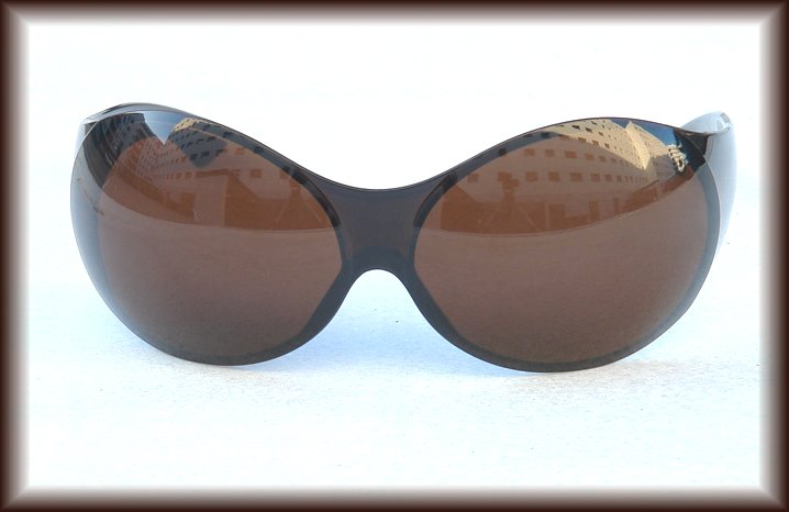 Bono_fly_brown_sunglasses